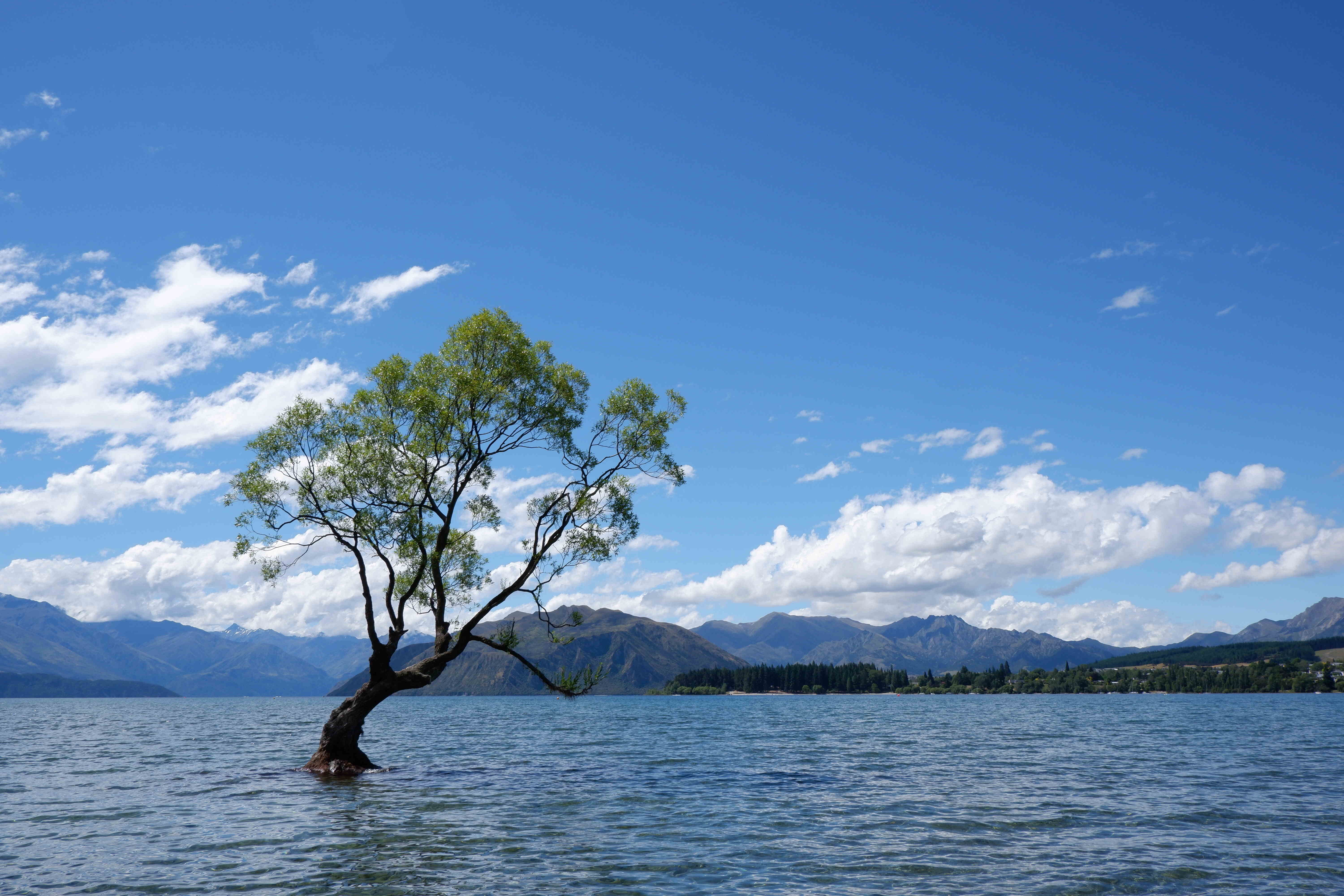 Wanaka